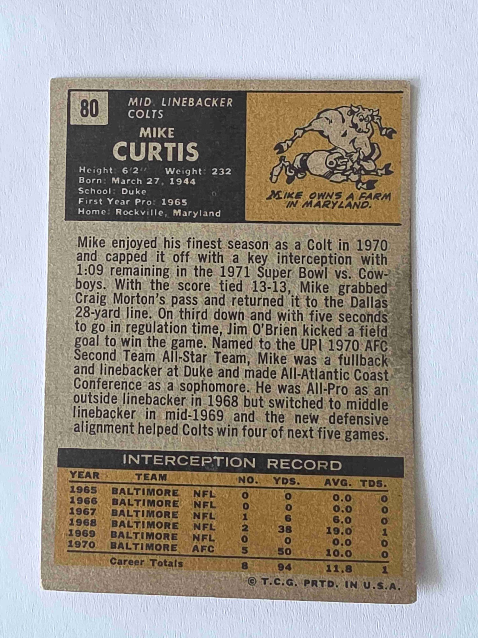 Card back