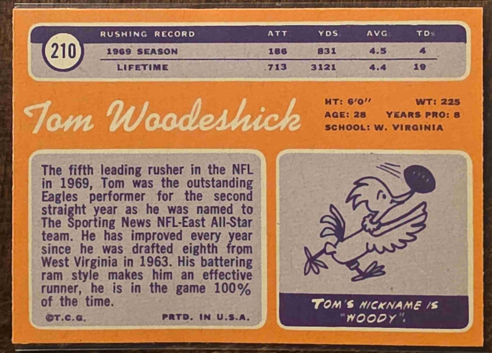 Card back