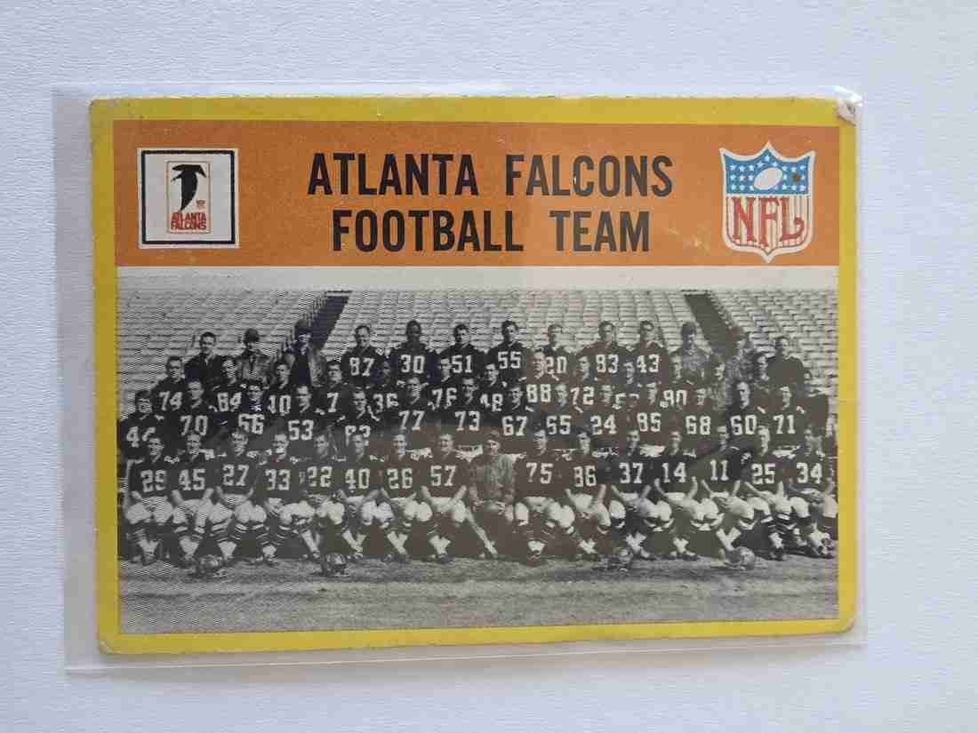 Atlanta Falcons Team front thumbnail