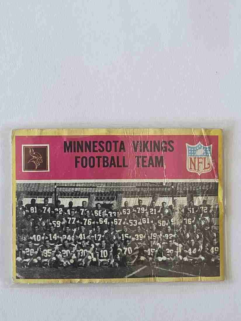 Minnesota Vikings Team front thumbnail