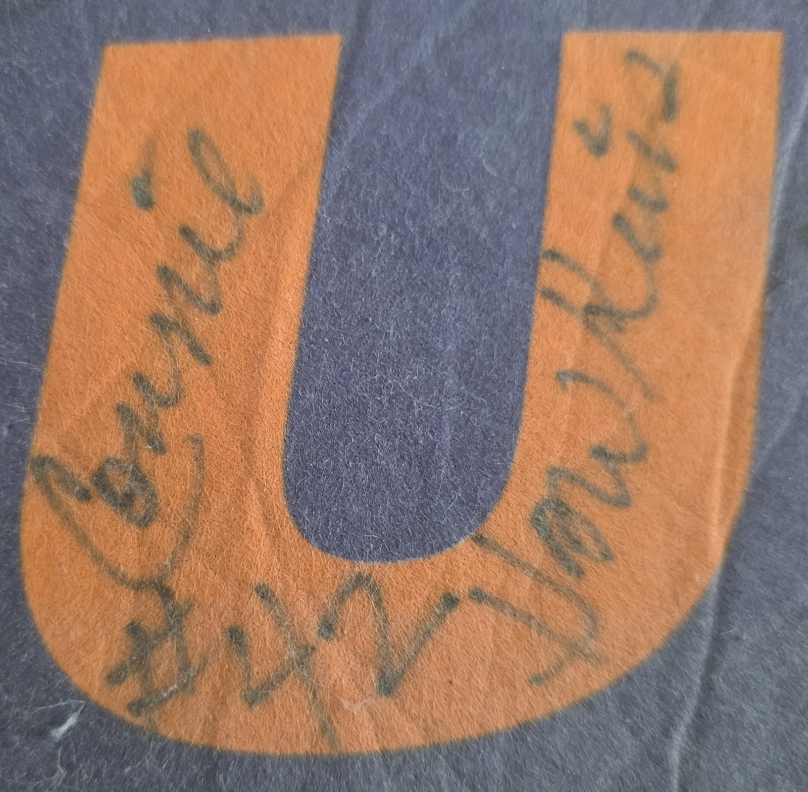 Phoenix Suns Autographed Pennant: Signature detail 1