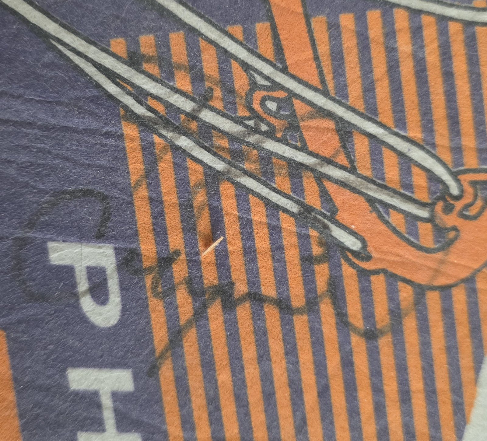 Phoenix Suns Autographed Pennant: Signature detail 8